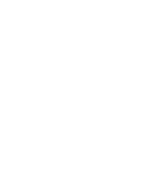 Our Solution
